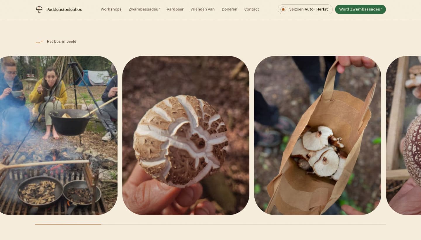 A row of rounded photos from the forest (cooking over a fire, a mushroom cap held in a hand, a paper bag of shiitake) with a progress line underneath.