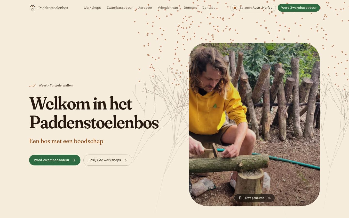 De homepage van Paddenstoelenbos in het herfstpalet: de kop Welkom in het Paddenstoelenbos, een foto van iemand die een stam beënt, en een getekend mycelium dat erachter groeit.