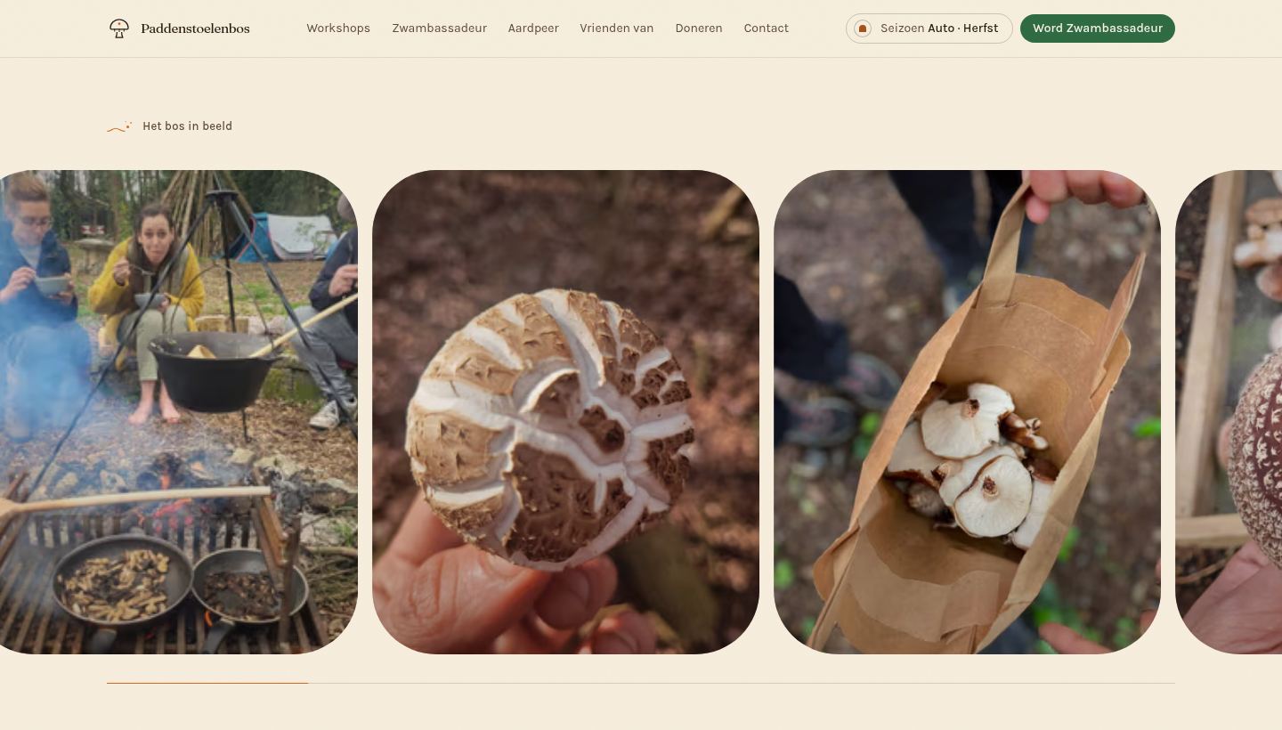A row of rounded photos from the forest (cooking over a fire, a mushroom cap held in a hand, a paper bag of shiitake) with a progress line underneath.